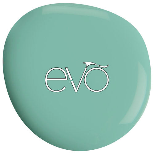 Evo 110 - Joani