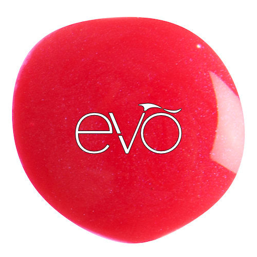 Evo 11 - Ashley