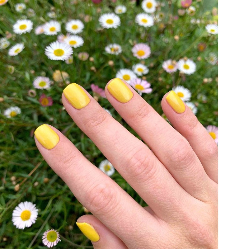 2030 - Daffodil