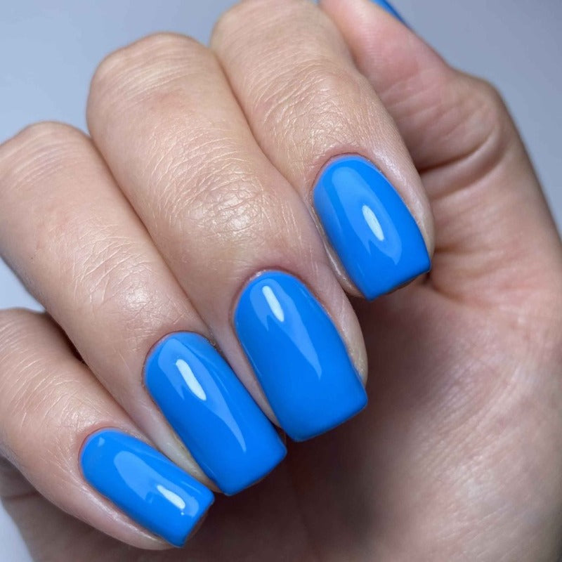 2068 - Polar Blue