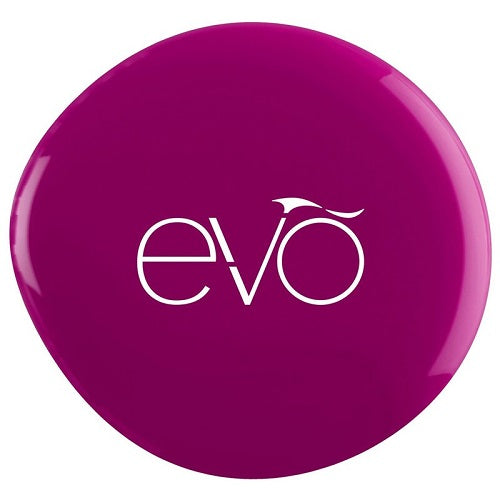 Evo 125 - Punam