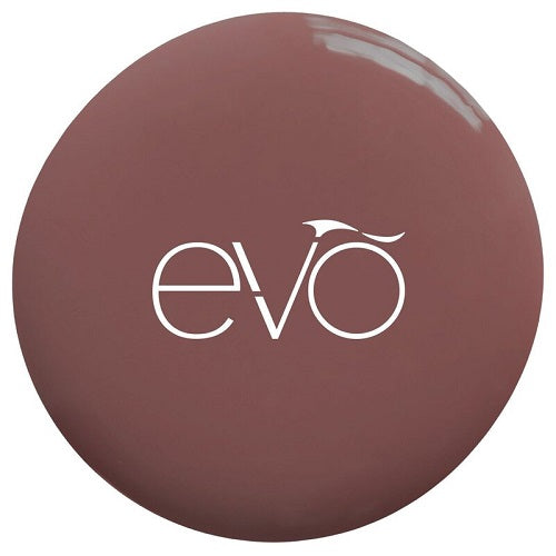 Evo 131 - Simi