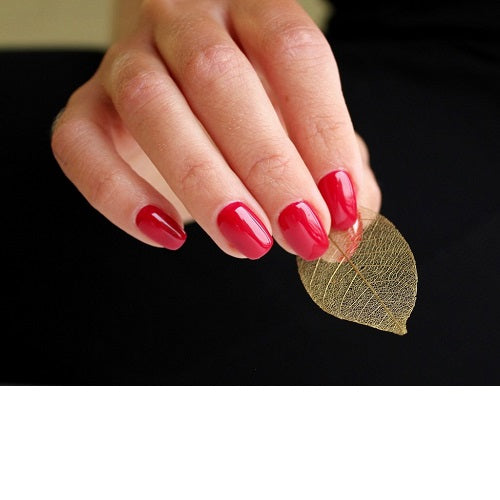 211 - Wild At Heart - Gemini Nail Polish