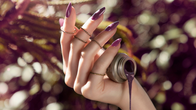 Bio Sculpture Conversion Course