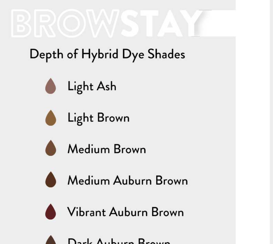 BrowStay Colour Wheel 