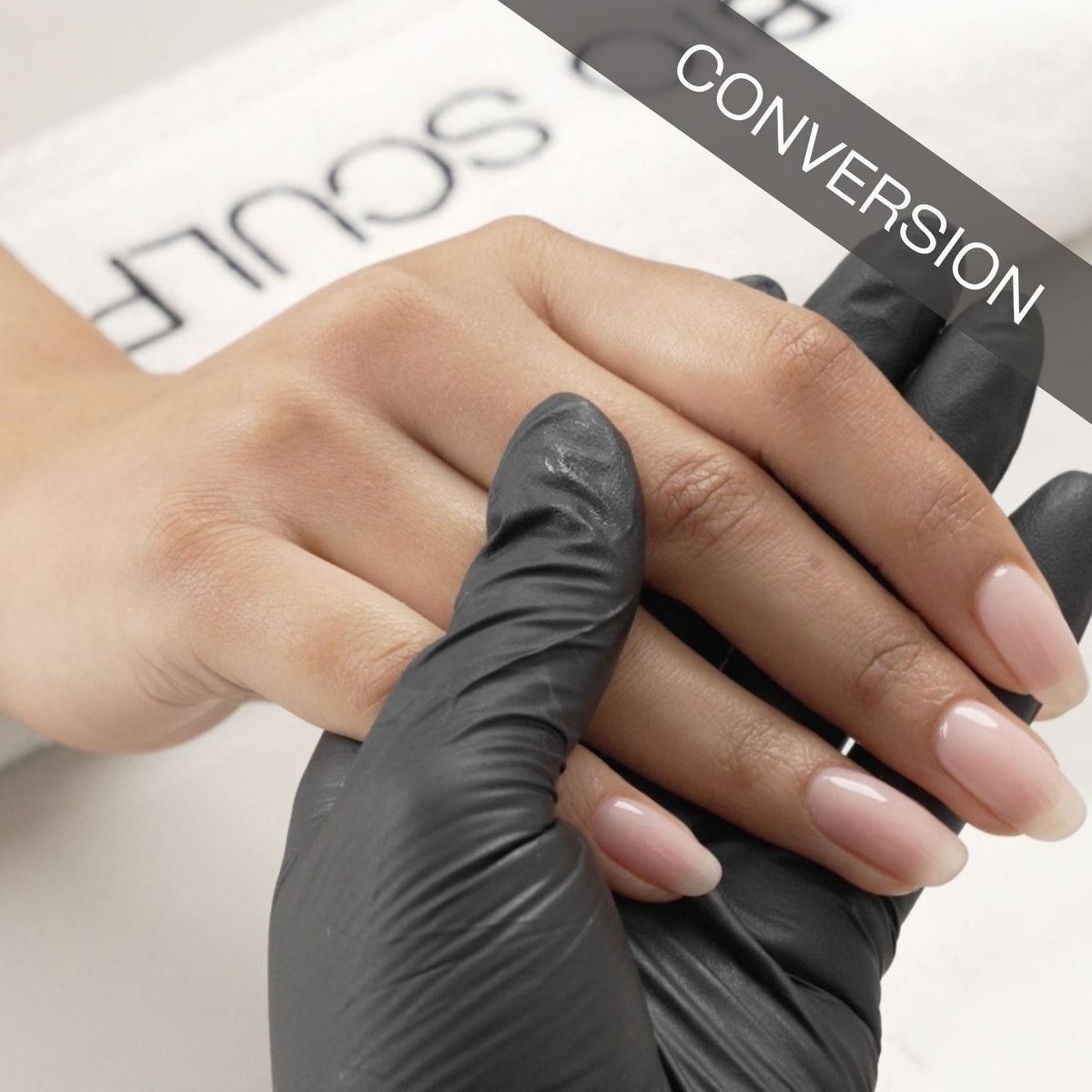 Bio Sculpture Conversion Course