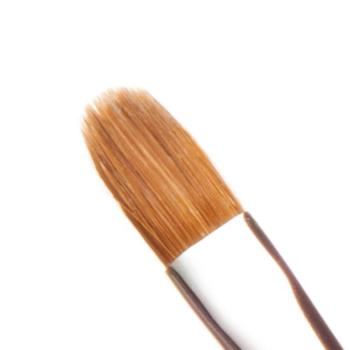 Application Brush  No. 6 Round