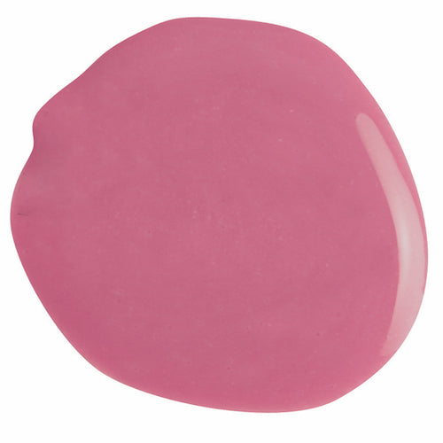 121 - Cupcake Carnation