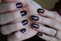 2031 - Black Aubergine - Gemini Nail Polish